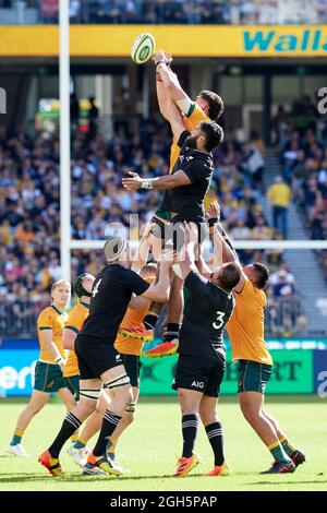 Perth, Australien, 5. September 2021. Lachlan Swinton von den Wallabies steigt während der Rugby Championship und des Bledisloe Cup Matches zwischen den australischen Wallabies und den neuseeländischen All Blacks für den Ball an. Quelle: Graham Conaty/Speed Media/Alamy Live News Stockfoto