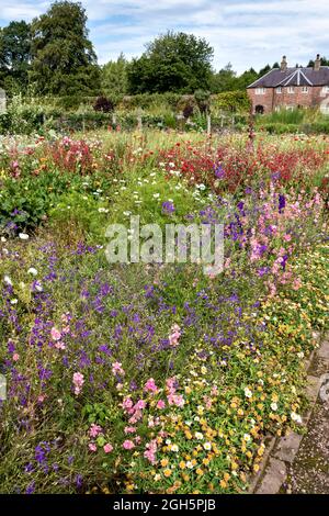 GORDON CASTLE UMMAUERTER GARTEN FOCHABERS SCHOTTLAND BUNTE BLUMENBEET UND HAUS IM SOMMER Stockfoto