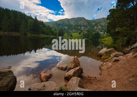 Schöner lac des truites in den Höhen der vogesen in frankreich Stockfoto