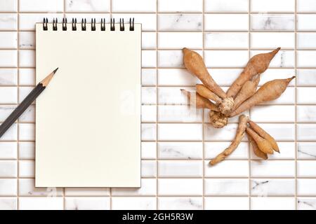 Fingerroot, Kaempfer mit offenem, leerem Spiralnotizbuch und Bleistift auf weißem Hintergrund, Flat Lay-Konzept, Copy Space for Text. Stockfoto