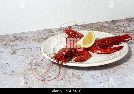 Leckere Meeresfrüchte von gekochten roten Garnelen mit frischen Zitronenscheiben und grobem Salz auf weißem Hintergrund Stockfoto
