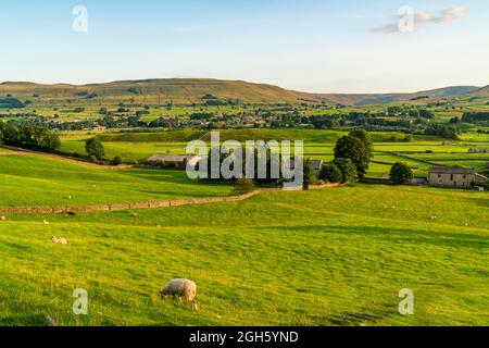 Schöne ländliche Landschaft in der Nähe von Hawes in Yorkshire Dales, North Yorkshire, Großbritannien Stockfoto