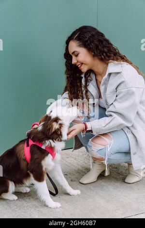 Dia-Ansicht des weiblichen wegschauenden Besitzers, der den Border Collie-Hund an der Leine streichelt, während beide sitzen Stockfoto