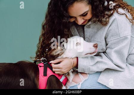 Dia-Ansicht des weiblichen wegschauenden Besitzers, der den Border Collie-Hund an der Leine streichelt, während beide sitzen Stockfoto