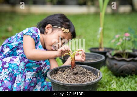 Eine flache Aufnahme mit Fokus auf ein südostasiatisches Mädchen, das im Freien gärtnerisch arbeitet Stockfoto