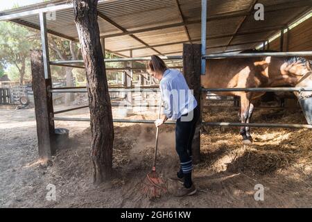 Beschäftigte Bäuerin, die im Sommer Heu mit der Pitchfork pflückt, während sie im Stall mit Pferden auf der Ranch arbeitet Stockfoto