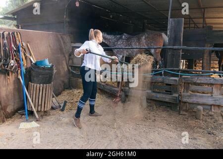 Beschäftigte Bäuerin, die im Sommer Heu mit der Pitchfork pflückt, während sie im Stall mit Pferden auf der Ranch arbeitet Stockfoto