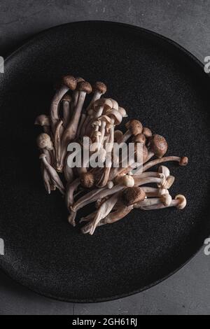 Blick von oben auf frische Shimeji-Pilze, serviert auf schwarzem Teller auf dunklem Tisch im Studio Stockfoto