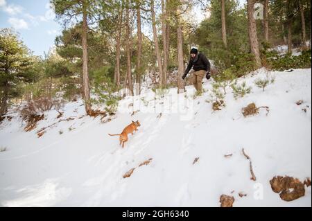 Männlicher Besitzer in warmer Kleidung, der im Winter mit einem niedlichen Hund im verschneiten Park spielt Stockfoto