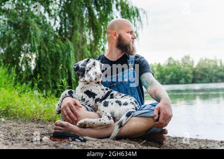 Nachdenklicher kahler Rüde mit Bart im lässigen Outfit, sitzend mit gehorsam gefleckten Doggen-Welpen am Sommertag auf See mit grünen Bäumen Stockfoto