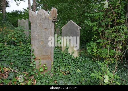 Grabsteine auf dem jüdischen Friedhof in Rodenberg Stockfoto