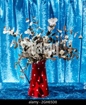 Ein Haufen Eukalyptus-Zweige in einer Vase aus Metall mit Punktmuster, die auf einem Marmortisch auf blauem Hintergrund im Studio platziert ist Stockfoto