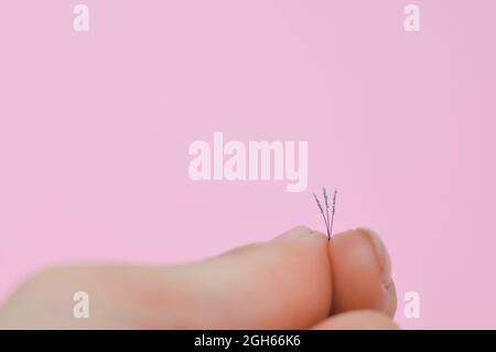 Haufen gefälschter Wimpern in der Hand-Makro-Ansicht des Lashmaker Stockfoto