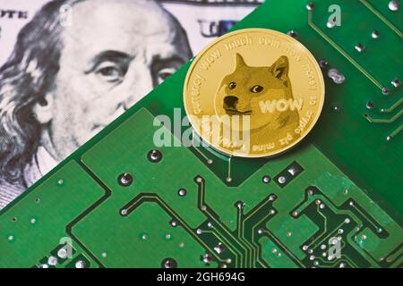 Dogecoin auf der Hauptplatine des Computers und US-Dollar-Rechnung. US-Dollar-Banknote, gedruckte Leiterplatte und beliebtes Dogecoin Stockfoto