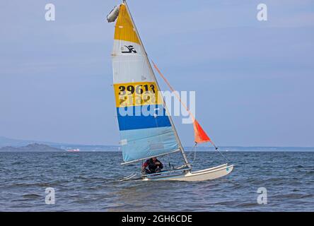 Portobello, Edinburgh, Schottland, UK Wetter. September 2021. Sonniger und warmer Nachmittag um 20 Grad Celsius am Meer. Im Bild: Katamaran, der sich auf den Firth of Forth für einen Seller aufmacht. Stockfoto