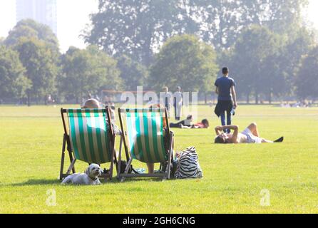 London, Großbritannien, 5. September 2021. Die Temperaturen stiegen im Hyde Park zu Beginn einer Hochsommer-Hitzewelle Anfang September. Die Menschen und ihre Hunde strömten in die Parks, um die warme Sonne zu genießen. Monica Wells/Alamy Live News Stockfoto