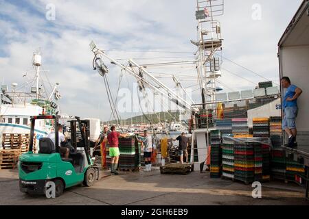 Tribunj, Kroatien - 4. August 2021: Fischer und Hafenarbeiter beladen Fischbehälter und -Boxen mit Hilfe von Bootskranen und Gabelstaplern in einem LKW Stockfoto