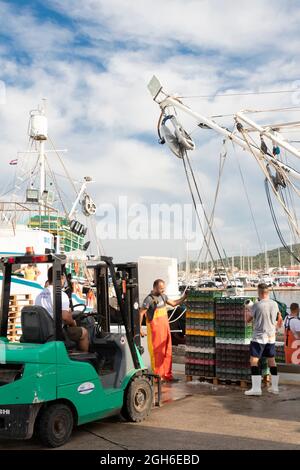 Tribunj, Kroatien - 4. August 2021: Fischer und Hafenarbeiter beladen Fischbehälter und -Boxen mit Bootskranen und Gabelstaplern Stockfoto