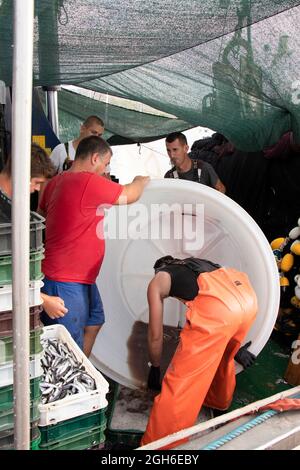 Tribunj, Kroatien - 4. August 2021: Fischer sortieren den Fischfang aus dem großen Plastikbehälter auf einem kleinen Fischerboot Stockfoto