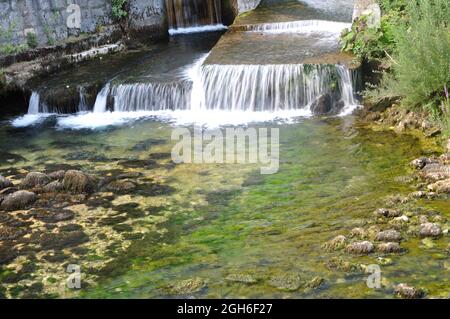 Kleiner Wasserfall im Quellwald. Kleiner Wasserfall im Wald. Grüne Umgebung Stockfoto