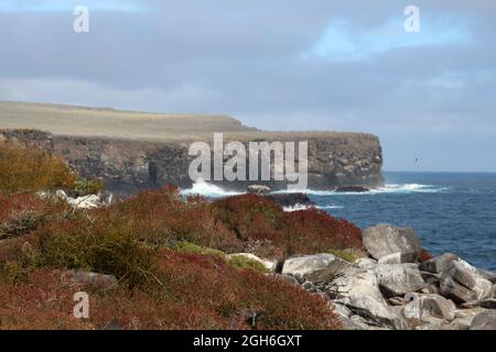 Punta Suarez Küste, Landschaft auf der Insel Espanola, Galapagos Inseln, Ecuador Stockfoto