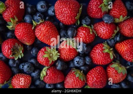 Hintergrund von verschiedenen frischen Beeren mit roten, saftigen Erdbeeren und blauen Blaubeeren aus der Nähe Stockfoto