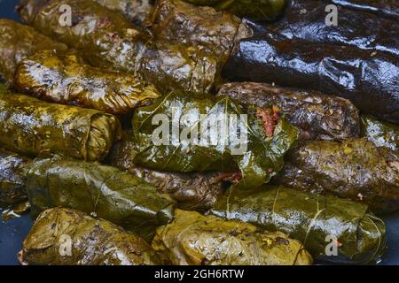 Köstliche Dolma gefüllt mit Reis aus Traubenblättern. Auf der Platte. Stockfoto