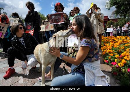 Kiew, Ukraine. September 2021. Eine Tierschutzaktivistin küsst ihren Hund während einer Kundgebung in Kiew.In Kiew Fand Ein marsch für Tierrechte unter dem Motto "der Schutz der Schwachen ist das Geschäft der Starken" statt, um die Aufmerksamkeit der Behörden auf die Notwendigkeit des Tierschutzes zu lenken. Tierschützer fordern ein Verbot der Jagd, Tierversuche von Kosmetika und Haushaltschemikalien sowie die Schließung von Streichelzoos, Pelzfarmen und Delfinarien. Kredit: SOPA Images Limited/Alamy Live Nachrichten Stockfoto