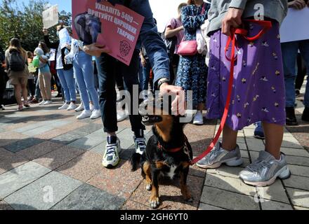 Kiew, Ukraine. September 2021. Ein Tierschutzaktivist stitet einen Hund bei einer Kundgebung in Kiew.In Kiew Fand Ein marsch für Tierrechte unter dem Motto "der Schutz der Schwachen ist das Geschäft der Starken" statt, um die Aufmerksamkeit der Behörden auf die Notwendigkeit des Tierschutzes zu lenken. Tierschützer fordern ein Verbot der Jagd, Tierversuche von Kosmetika und Haushaltschemikalien sowie die Schließung von Streichelzoos, Pelzfarmen und Delfinarien. (Foto: Sergei Chuzavkov/SOPA Images/Sipa USA) Quelle: SIPA USA/Alamy Live News Stockfoto