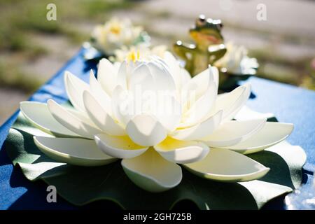 Dekoration aus Seerosen und Frosch-Keramik. Märchenhafte Dekoration Stockfoto