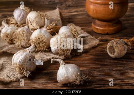 Frisch geernteter Knoblauch auf einem alten Holztisch. Rustikales Bild eines bäuerlichen Setting Stockfoto