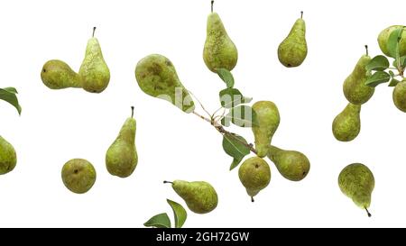 Birnen fallen in den Weltraum. Isoliert auf weißem Hintergrund. Stockfoto