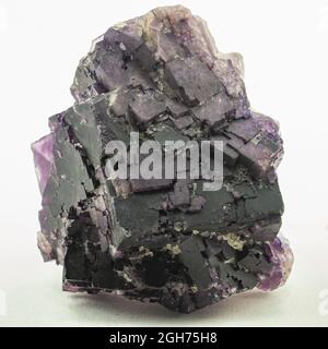 Violette kubische Kristalle aus Fluorit-Mineralien Stockfoto