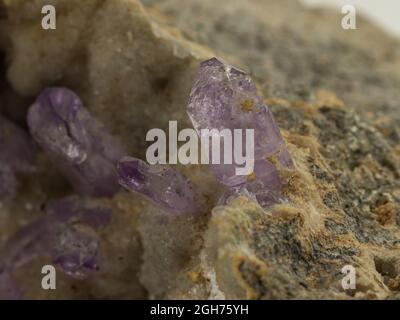 Vergrößertes Bild einer Amethyst-Quarz-Mineralprobe Stockfoto