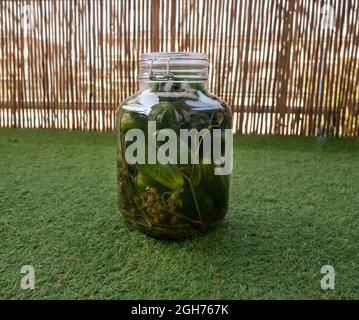Eingelegte Gurken in einem geschlossenen Glas stehen auf dem grünen Gras, verschwommener Hintergrund Stockfoto