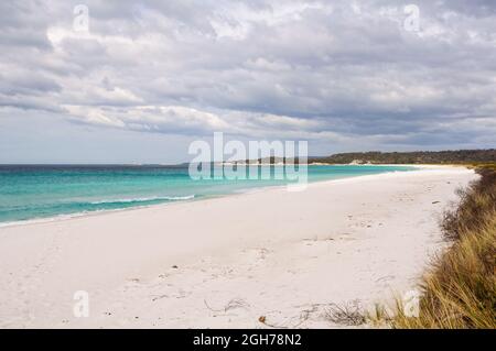 Weißer Sandstrand und kristallklares Wasser in Bay of Fires - Taylors Beach, Tasmanien, Australien Stockfoto