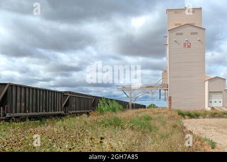 Güterwagen am Getreideaufzugsgleis. Stockfoto