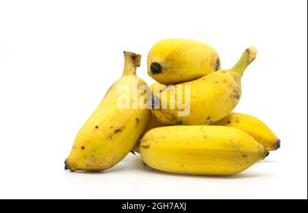 Ein kleiner Stapel kultivierter Bananen oder Namwa-Banane in thailändischer Sprache auf weißem Hintergrund, Nahaufnahme kultivierter Bananen. Stockfoto