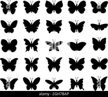 Vektor schöne Schmetterling Insektensymbole isoliert auf weißem Hintergrund. Silhouette tropischer Schmetterlinge. Sommer Natur Illustration Stock Vektor