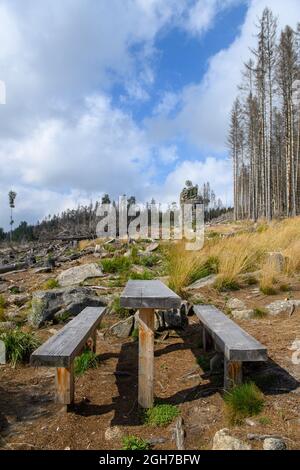 Oberharz Am Brocken, Deutschland. September 2021. Ein Ruhebereich mit Tisch und Bänken am Rand eines gerodeten Bereichs. Die Dürre von 2019 und 2020 und der Rindenkäfer hatten einen großen Teil der Fichten im Harz zum Tode gebracht. Nun werden die abgestorbenen Holzflächen geräumt und das Holz transportiert. Quelle: Klaus-Dietmar Gabbert/dpa-Zentralbild/ZB/dpa/Alamy Live News Stockfoto