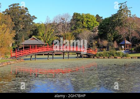 Red Japanese Bridge over the Lake at the North Coast Regional Botanic Garden, Coffs Harbour, NSW, Australien Stockfoto