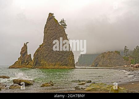 Küstenlandschaft an einem Foggy Day am Rialto Beach im Olympic National Park in Washington Stockfoto