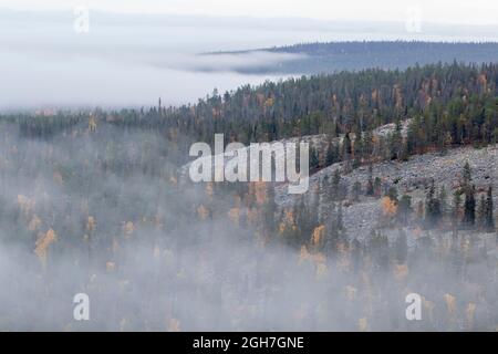 Nebliger Blick auf die Wälder von Sallatunturi an einem nebligen Herbstmorgen während der Herbstfärbung in Nordfinnland Stockfoto