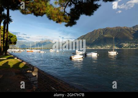 Schweiz, Locarno, 31. August 20. Sonnenuntergang mit Segelboot auf dem lago maggiore Stockfoto