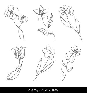 Blumen im Linienstil. Moderne Linienkunst für Poster und Banner Stock Vektor