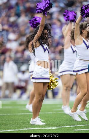 Die Cheerleader der Washington Huskies, die sich im zweiten Quartal eines NCAA-College-Fußballspiels zwischen den Washington Huskies und auf dem Spielfeld vorbilden Stockfoto