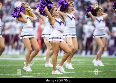 Die Cheerleader der Washington Huskies, die sich im zweiten Quartal eines NCAA-College-Fußballspiels zwischen den Washington Huskies und auf dem Spielfeld vorbilden Stockfoto