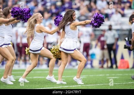 Die Cheerleader der Washington Huskies, die sich im zweiten Quartal eines NCAA-College-Fußballspiels zwischen den Washington Huskies und auf dem Spielfeld vorbilden Stockfoto