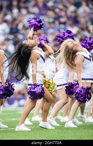 Die Cheerleader der Washington Huskies, die sich im zweiten Quartal eines NCAA-College-Fußballspiels zwischen den Washington Huskies und auf dem Spielfeld vorbilden Stockfoto