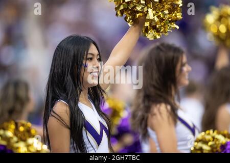 Die Cheerleader der Washington Huskies, die während des dritten Quartals eines NCAA-College-Fußballspiels zwischen den Washington Huskies und t Stockfoto